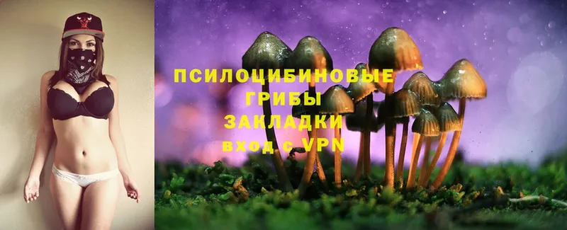 Псилоцибиновые грибы Magic Shrooms  сайты даркнета клад  Приморско-Ахтарск 